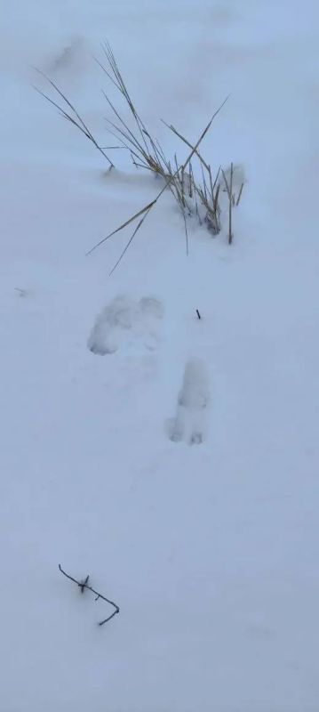 � ����������� ����������� ������� ������� ������ ���� ��������