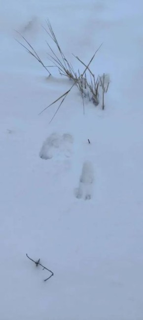 � ����������� ����������� ������� ������� ������ ���� ��������