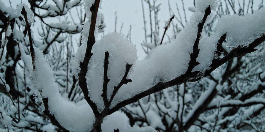 � ����������� ������� ������������ ������ ���� � ����� �� -15