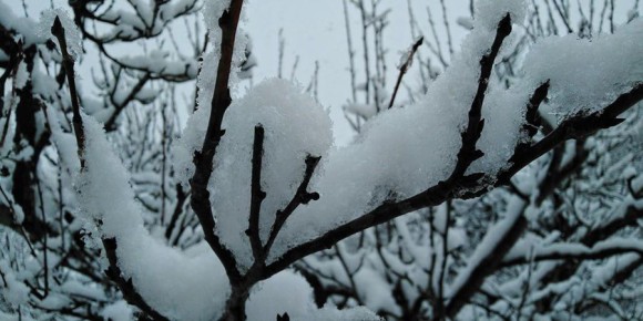 � ����������� ������� ������������ ������ ���� � ����� �� -15