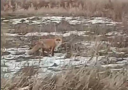 � ����������� ������� �������������� ������� �� ������ ������