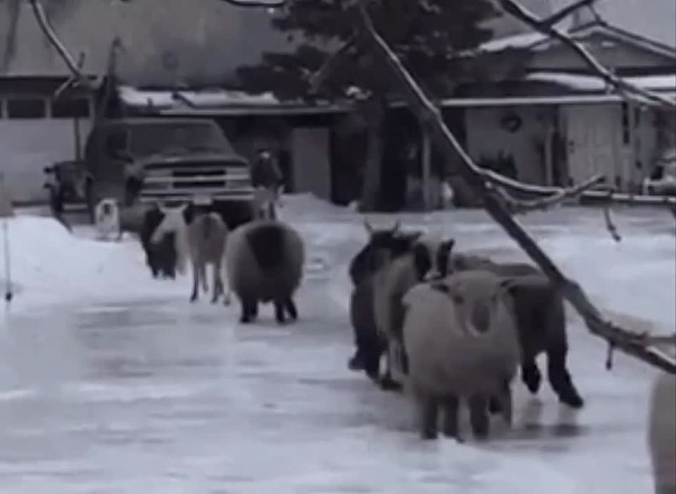 �� -32��: ���������� ������ ��������� ����������� ������� � ����