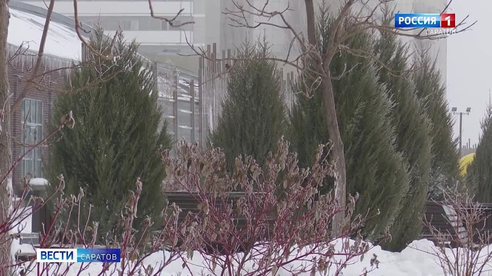 В Саратовской области температура упадет до 22 градусов мороза
