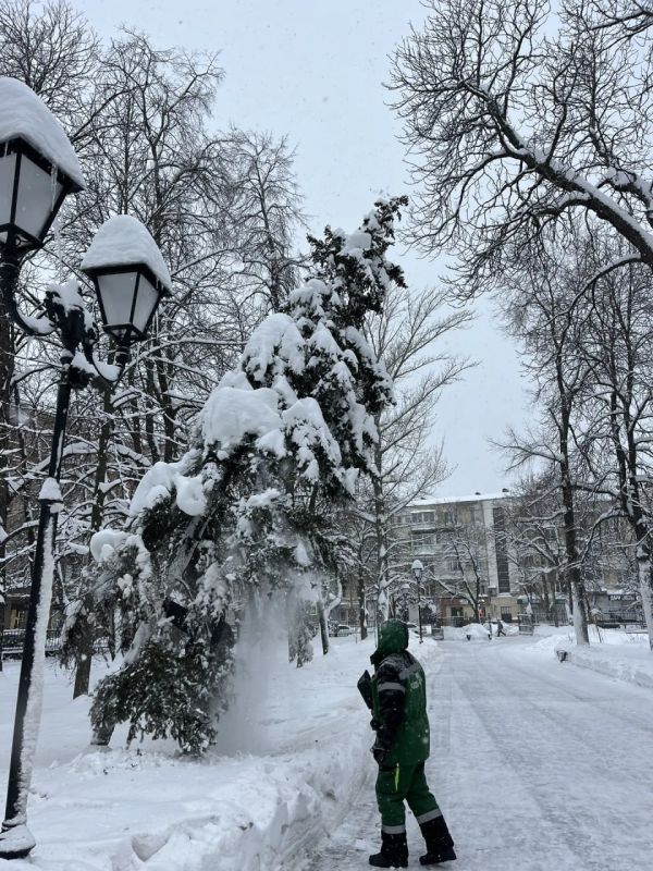 ����� � ������ ��������� �� ������ �������