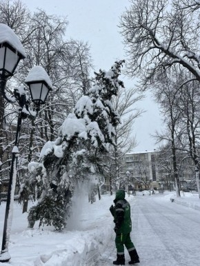 ����� � ������ ��������� �� ������ �������