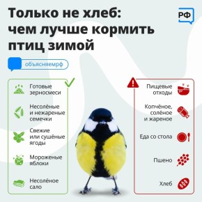 �������� ������ �������� ������