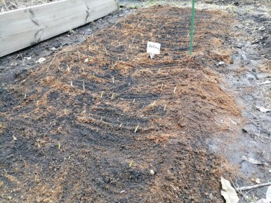 ��� ��������� �������� �� ������ ������� ������� � ���� � ������