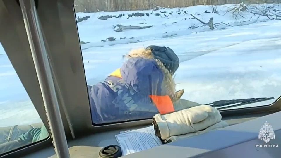 Сотрудники МЧС в Саратовской области спасли косулю, которая не могла самостоятельно выбраться со льда Волги