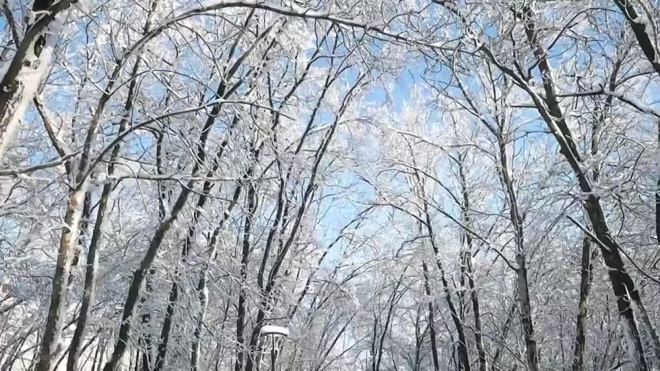 ������ ������ �� ����� ���-�����