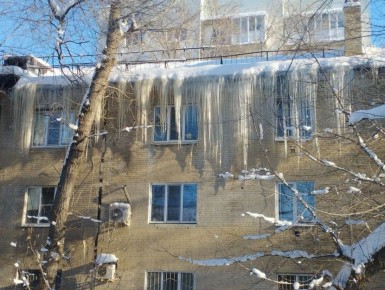 ���������� �������� �� ��� ��������� 335 ���������� �� ����������� �������� �� �����