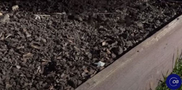 ����� ���������� ������� ������: ������� �������