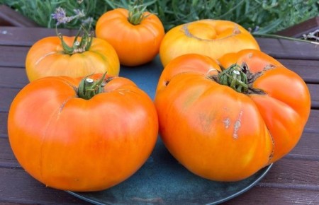 ����� '������ ��������� ������': �������� ���� ������ �� ����� �������