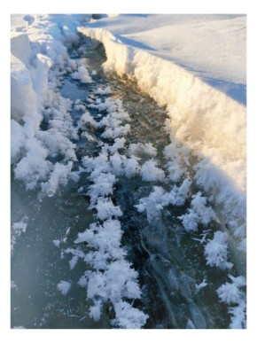 Саратовцы заметили загадочные "цветы" на льду Волги