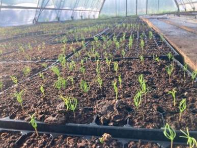 �� ���������� � ����������� ������� ���������� �������������� ������������ �� ������������ ������� �������� ����� 83,4 �������� ������