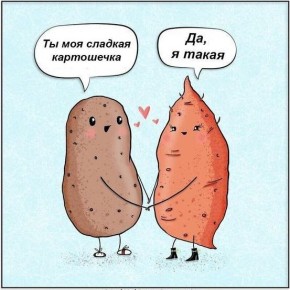 ������� �����: ����� ������ ���������