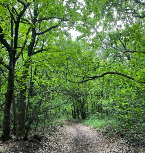 � ����������� ������� ����������� ����� �������������