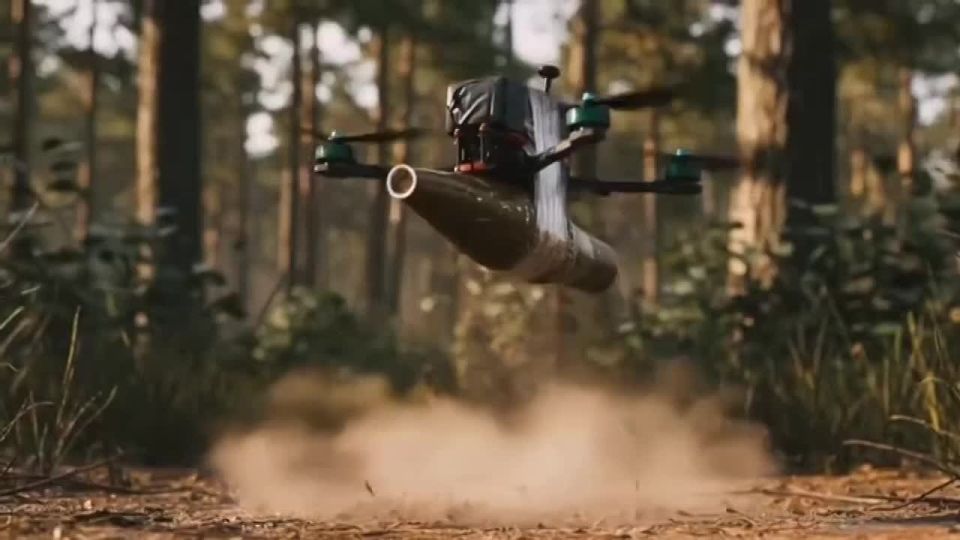 � ������� ���� ����� �� ������� ������ ���������� ����, ������������ ����� � IT-������������