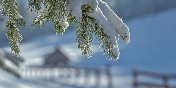 � ����������� ������� ������������ ��������� ���� � �������� ������