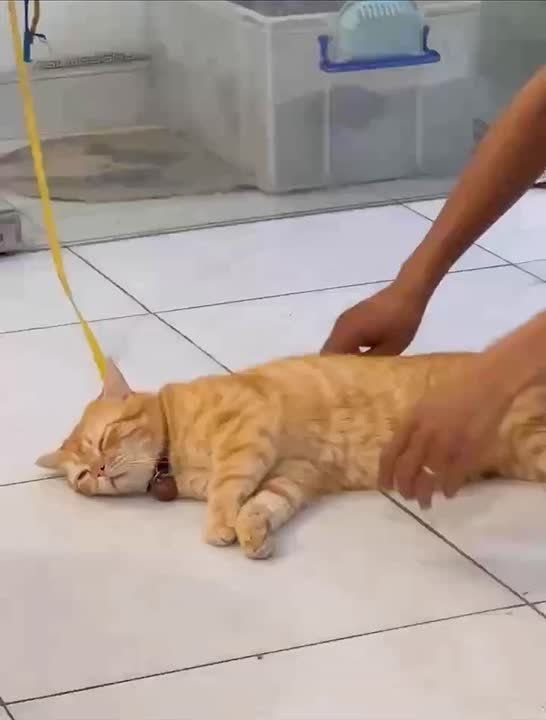 ����� ����� ������� ������������ ����� ����� �������� �� ������)