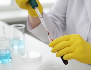 ���� �� �����, ������� ����� ������� ��� ����� �����, ������ ����� ����� ���������