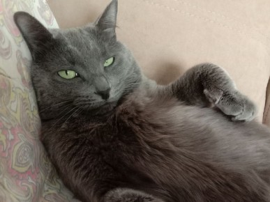 ������ ����� ������������ ����: ��� ������� ��� ������ �������?