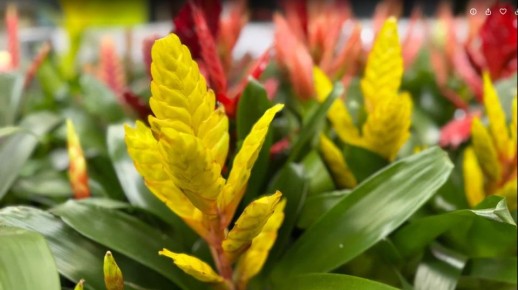 ����� ������ � ���������� ���������� ��������: �� ��� ����� �������� ��������