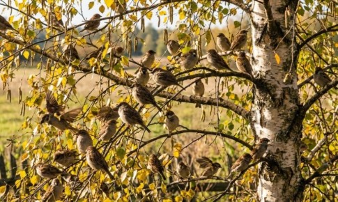 ������� � ����: ������ ��� �����? ���������� ��� ����� �� ������� �� ������