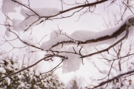 � �������� ����� ������� � ��������� ���������� � ������������ �� -9