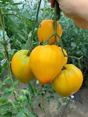 ����� ��������� ����: ��������� ������� � ������ ������� � ������� ������������