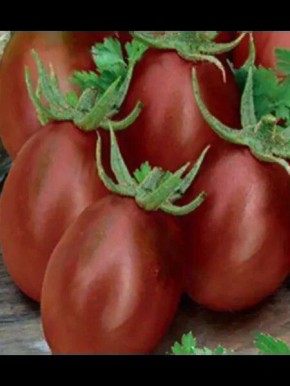 ����� ���������: ��� ��������� ������� ���������� ������