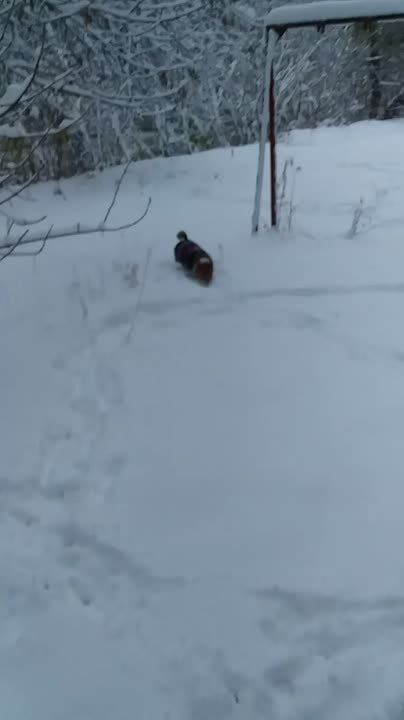 ������� - 22 ������, �������