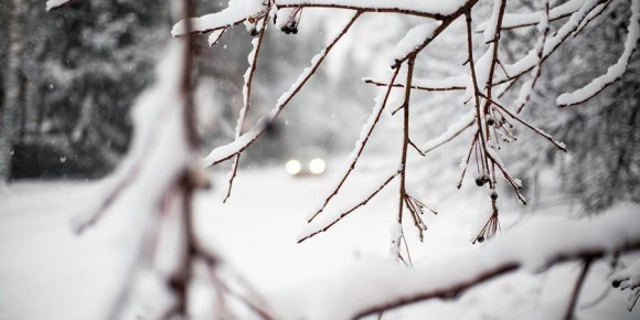 � ����������� ������� ������������ ����� �� -13 �������� � ������� ������ ����