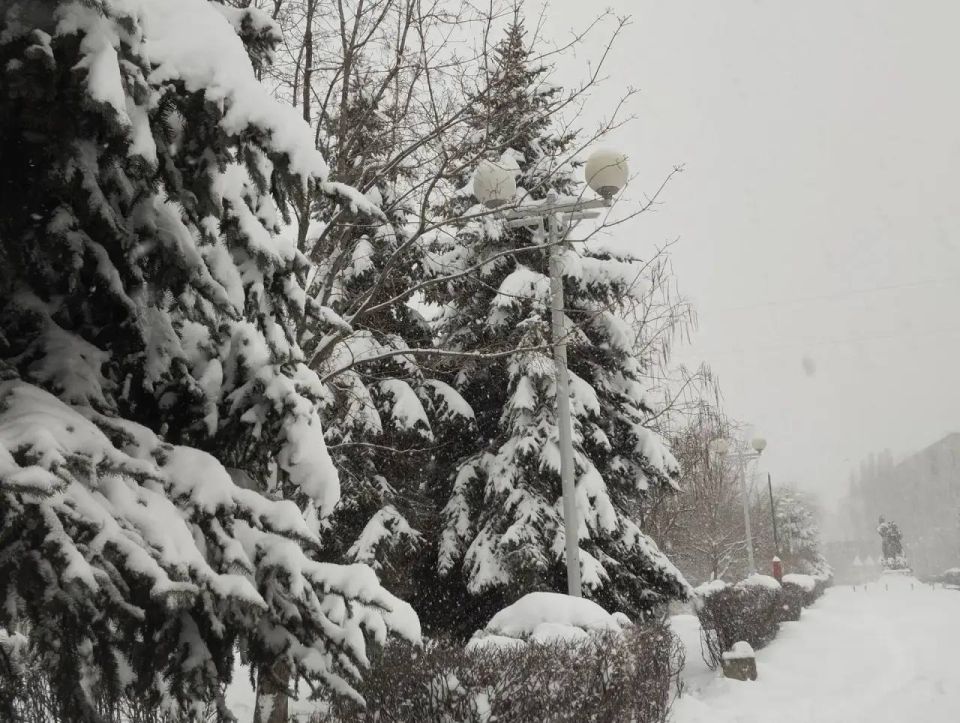 ���� � ����� �������, ������� ������ ��� ������ ������� ���������!