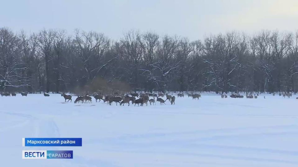 ������������� ������� ������� ������� � ������������� ��������� ������������� �������� ������������