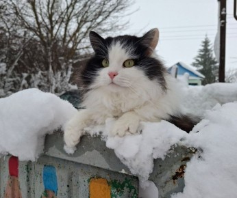 ������� - 23 ������, �������