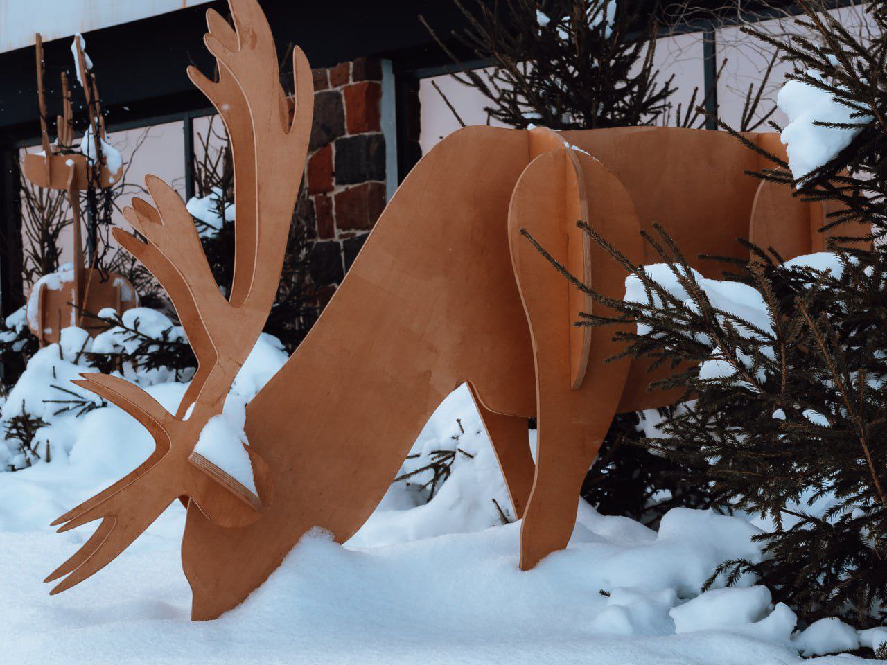 Морозный день в Саратове Морозный день в Саратове