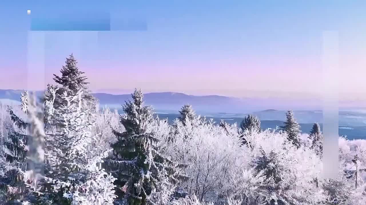 на 24 января