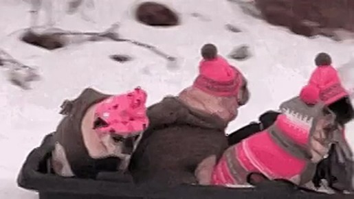 Морозы до -31°С ожидаются в выходные в Саратовской области