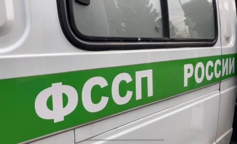 � ������ ���� �� ����������� ������� ��������� 29 �����������-�����������