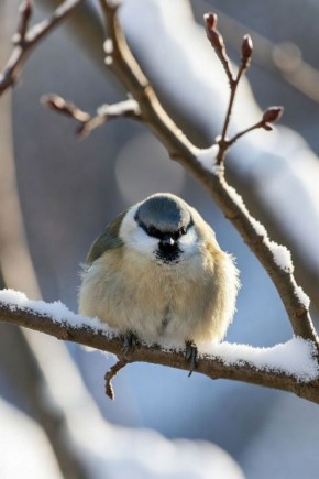 � �������� ���������� �� 31 ������������� ����� � ����������� ������� ����� ����������