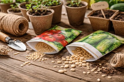 Почему семена, казалось бы, одни и те же, дают разные результаты