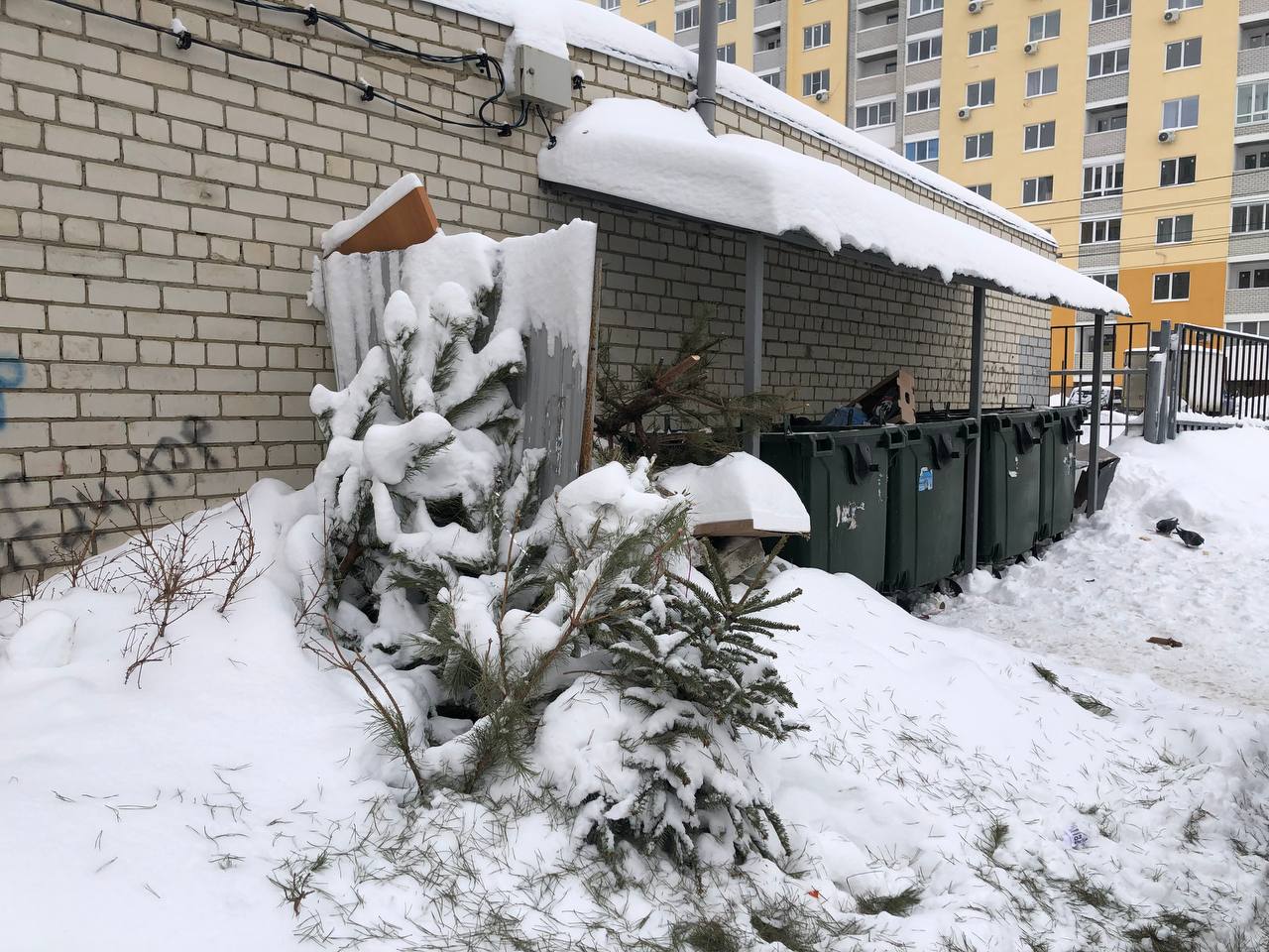 В Саратове проверили состояние контейнерных площадок