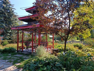 Осень: время создавать красивый сад, который будет радовать до зимы