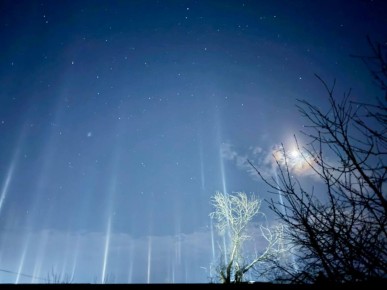 � ���� ��� ��������� �������� �������� ����