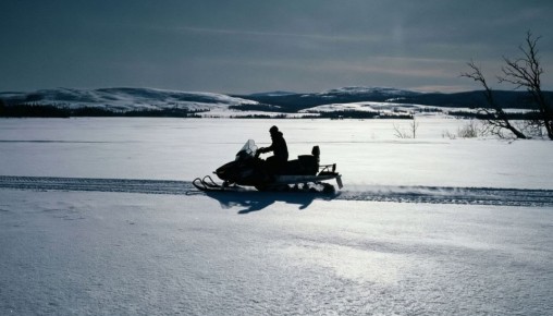 ������ �� ���������� � �������: ��� ��������� ����� ���� � ������������� �������