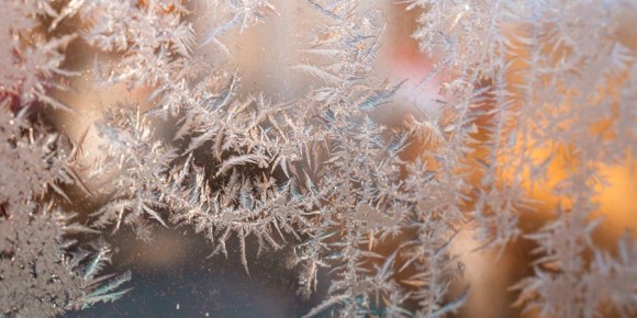 � ����������� ������� ���������� ������� ������ �� -20 ��������