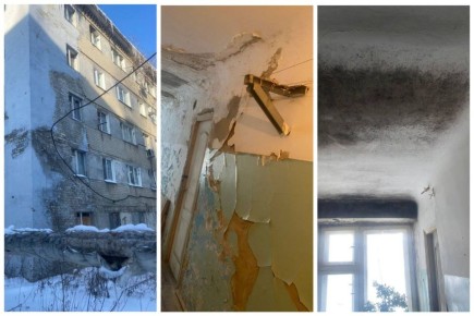 ����������� ��������� ��� ����� �����������, �� ��� �� ������ ���������