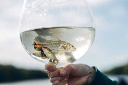 � ����������� ������� �������� ��������� ����� ������� ����������� ������