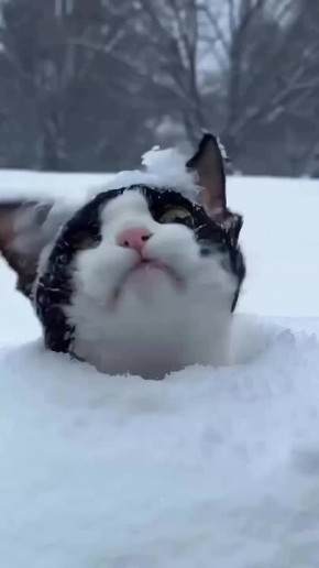 К концу недели в Саратове ожидается потепление до -1°С, снег и туман