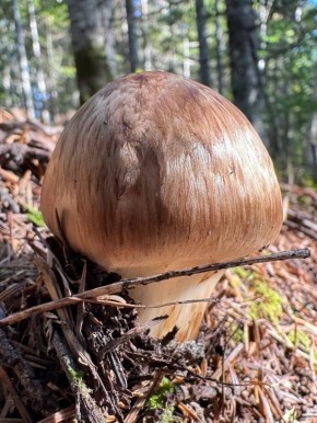 �������� � �������� � ����������� ������ � ������������ ����� ���������